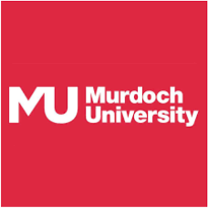 Bachelor of Information Technology in Cyber Security and Forensics - Murdoch University Dubai