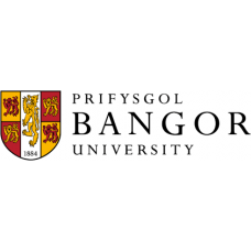 BA  FILM STUDIES AND ENGLISH LITERATURE - Bangor University